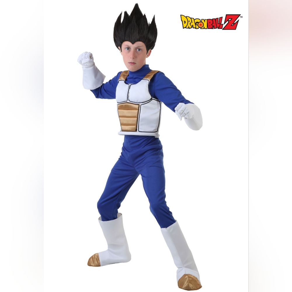 Dragon Ball Z Vegeta Costume